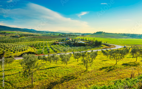Maremma countryside panorama, road and olive trees. Casale Marittimo, Tuscany Italy