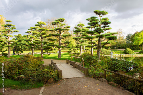 Foto Awe pines at awe japanese  garden in North PArk of Dusseldorf,