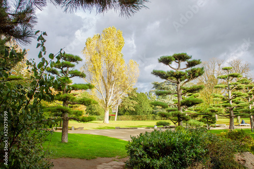 Awe japanese garden in North park of Dusseldorf. Sun and clouds   - beautiful landscape!! photo