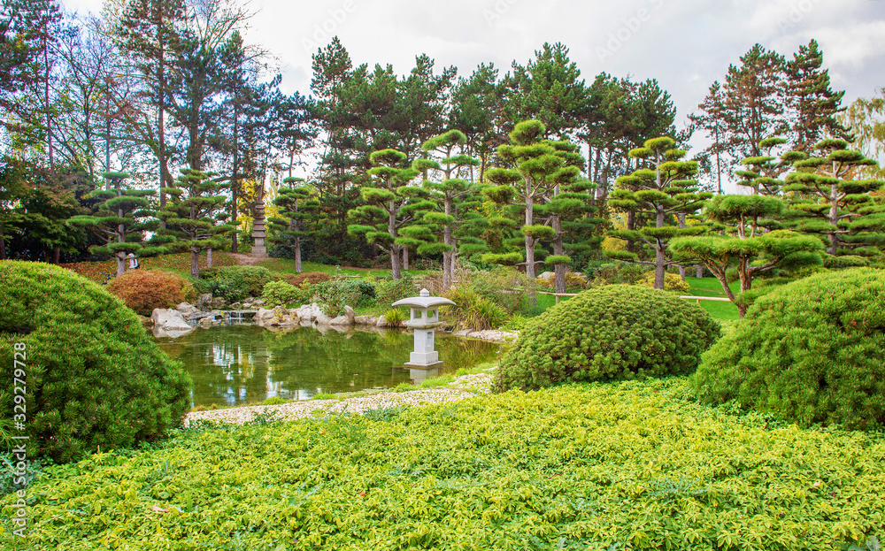 Awe pines at awe japanese  garden in North PArk of Dusseldorf,