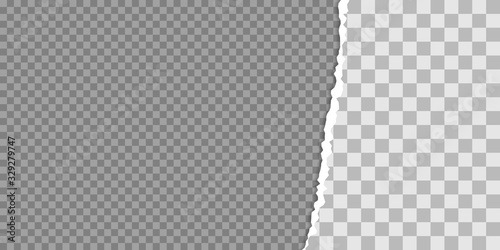 Torn paper edge vector illustration. Teared, ripped photo, sheet or page texture. Collage of 2 images