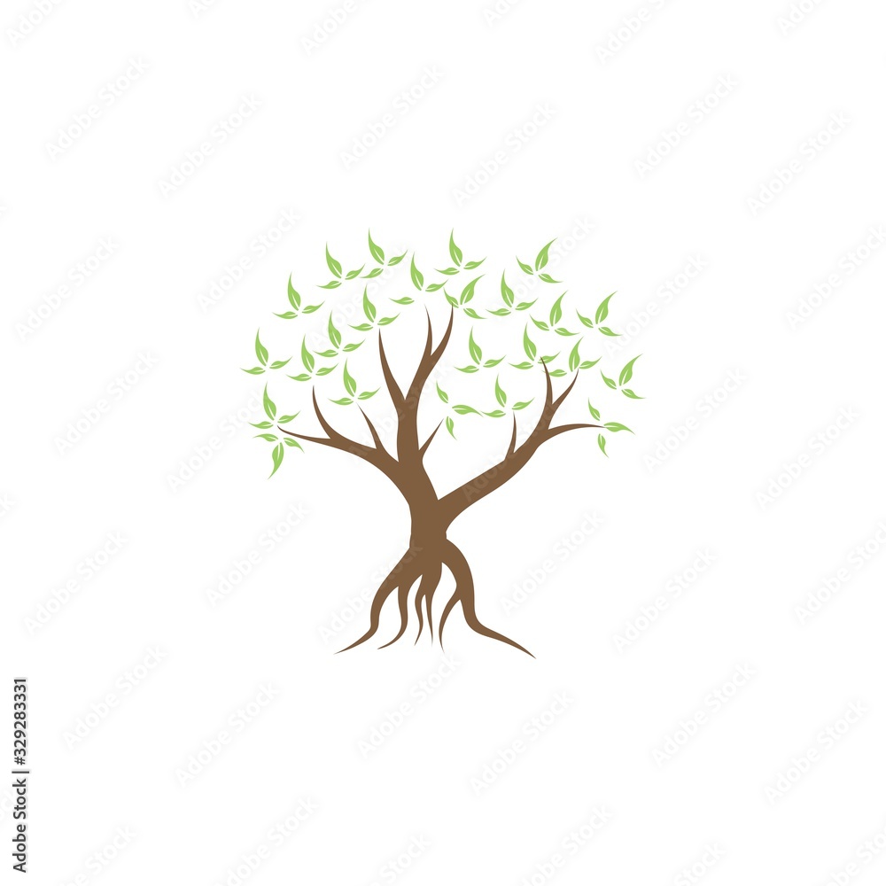 Obraz premium Tree icon logo template vector illustration