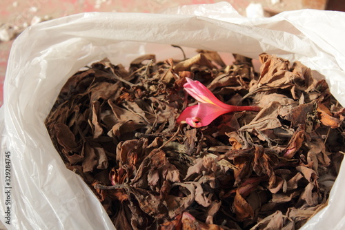 dried frangipani flowers contained in plastic containers