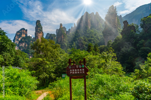 Golden Whip Stream entrance. Path through the canyon. Zhiangjiajie National Park, Hunan, China photo