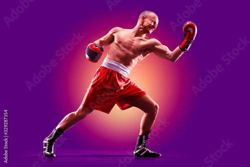 colourful professional boxer isolated over purple background