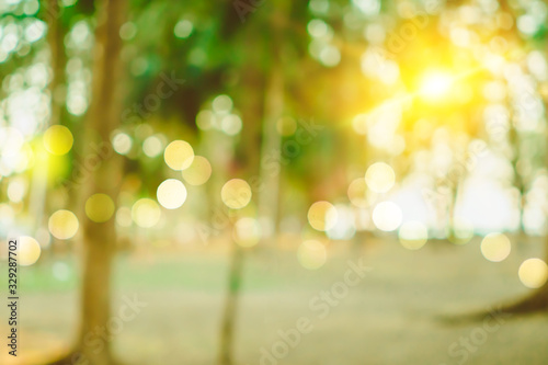 Blur nature bokeh green park by beach and tropical coconut trees photo