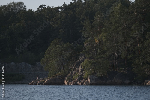 Rocks with trees pointing down towards the lake