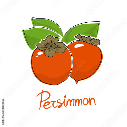 Orange persimmon and text Persimmon , tropical fruit isolated on white background, vector illustration