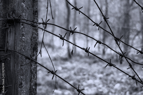 old rusty barbed wire on an abandoned prison fence