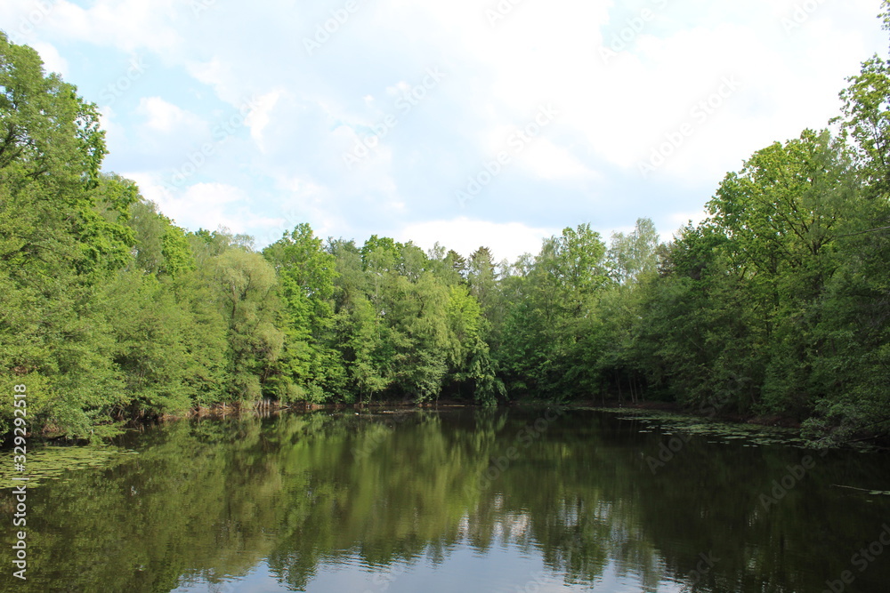 lake in deep forest