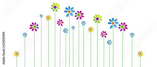 fiori, piante, primavera