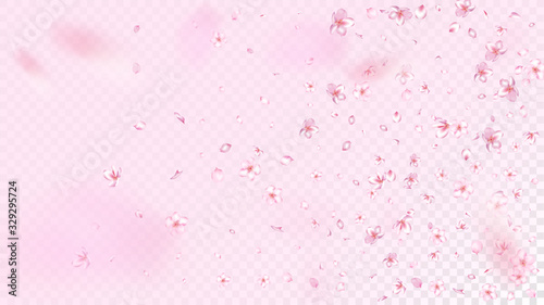 Nice Sakura Blossom Isolated Vector. Beautiful Falling 3d Petals Wedding Frame. Japanese Gradient Flowers Wallpaper. Valentine, Mother's Day Beautiful Nice Sakura Blossom Isolated on Rose