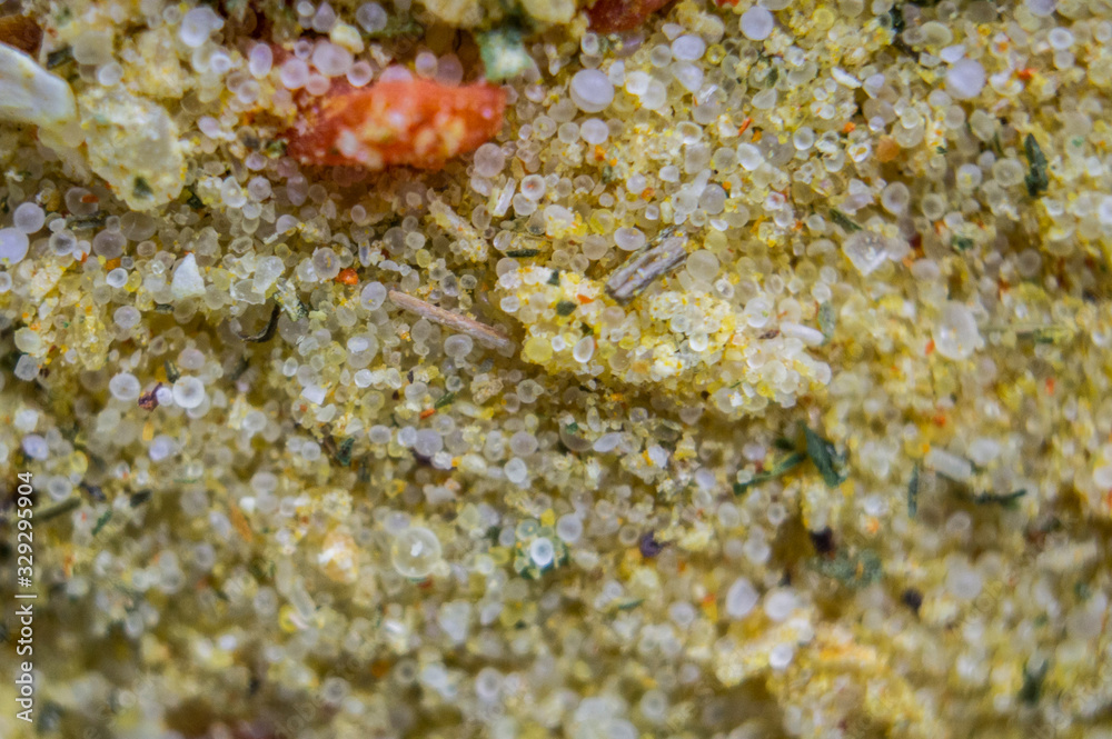 Seasoning for chicken with salt close-up. Macro photography Seasoning for chicken with salt close-up. Macro photography