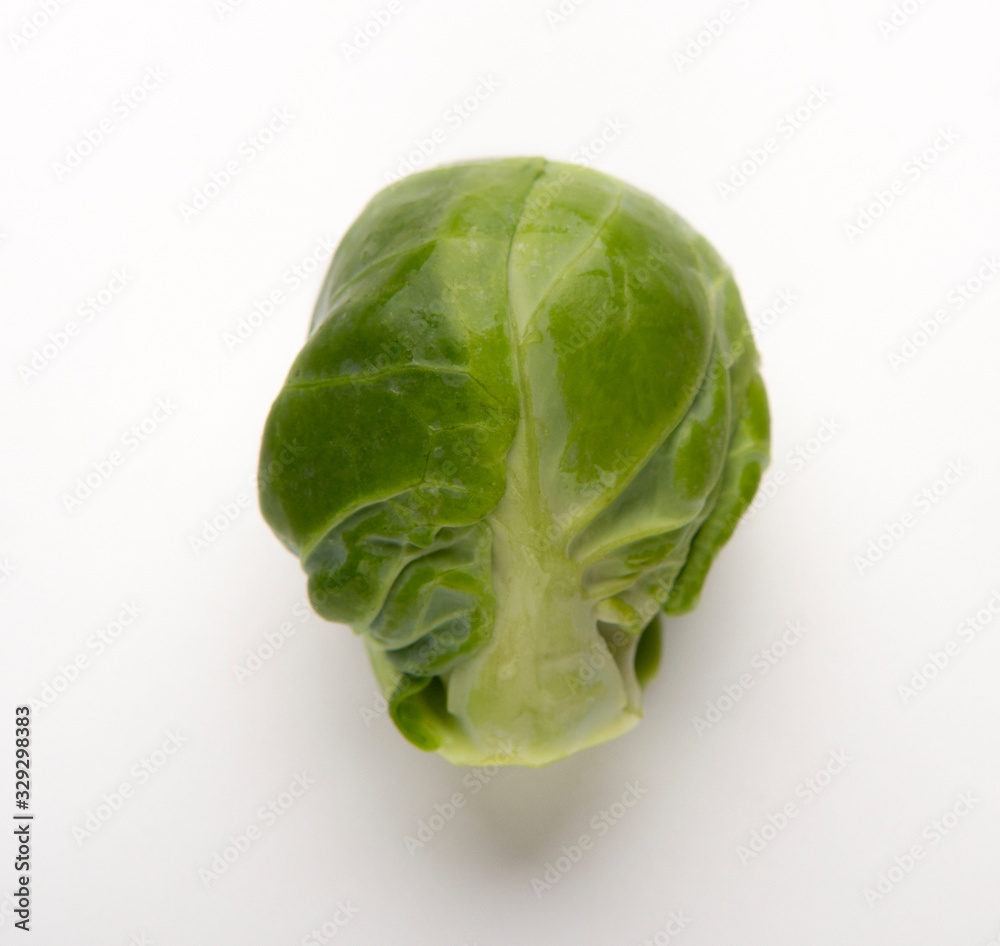 Fototapeta premium One brussels sprouts close up isolated on white background