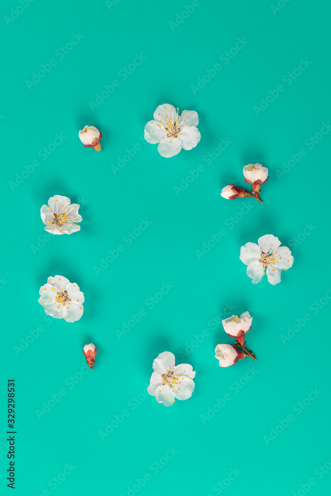 Fresh spring apricot flowers on green paper background.