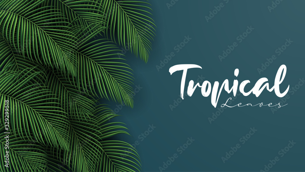 Tropical summer leaves background with jungle plants Stock Vector ...