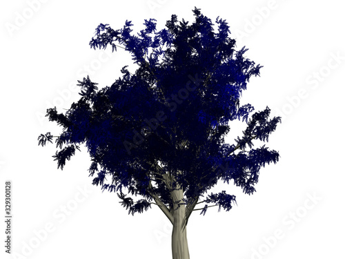 silhouette of a tree isolated on white background