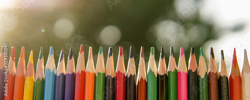 Colorful pencils in a row over natural green background. Like a fence from pencils over sunny green lawn
