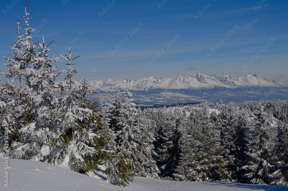 Obraz premium Widok na Tatry ze Słowacji. Niskie Tatry.