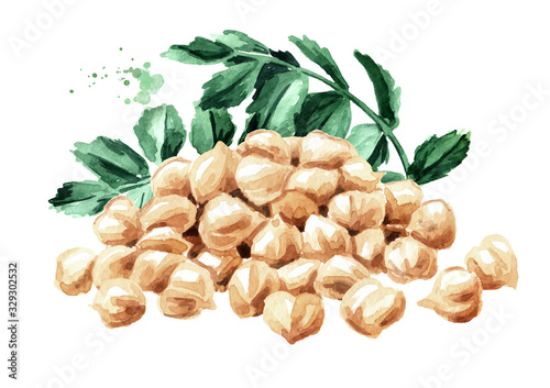 Pile of Chickpeas with leaves and peas. Hand drawn watercolor illustration  isolated on white background