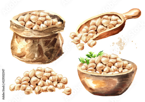 Chickpeas set. Hand drawn watercolor illustration  isolated on white background photo