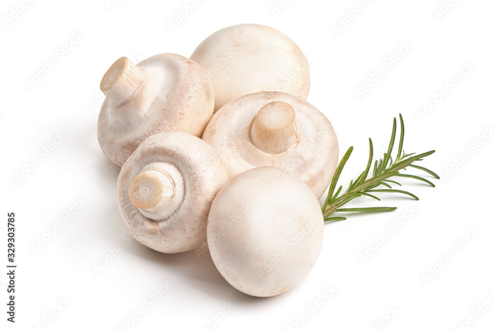 Fresh Champignon mushrooms, isolated on white background Fresh Champignon mushrooms, isolated on white background