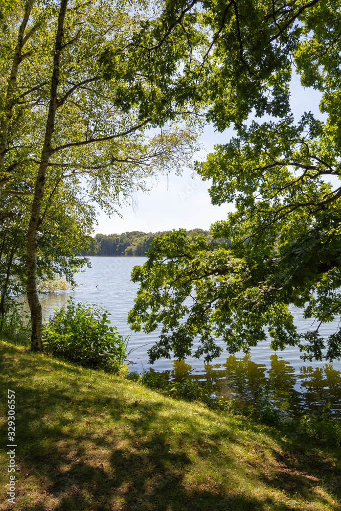 lake in the city park with trees lake in the city park with trees