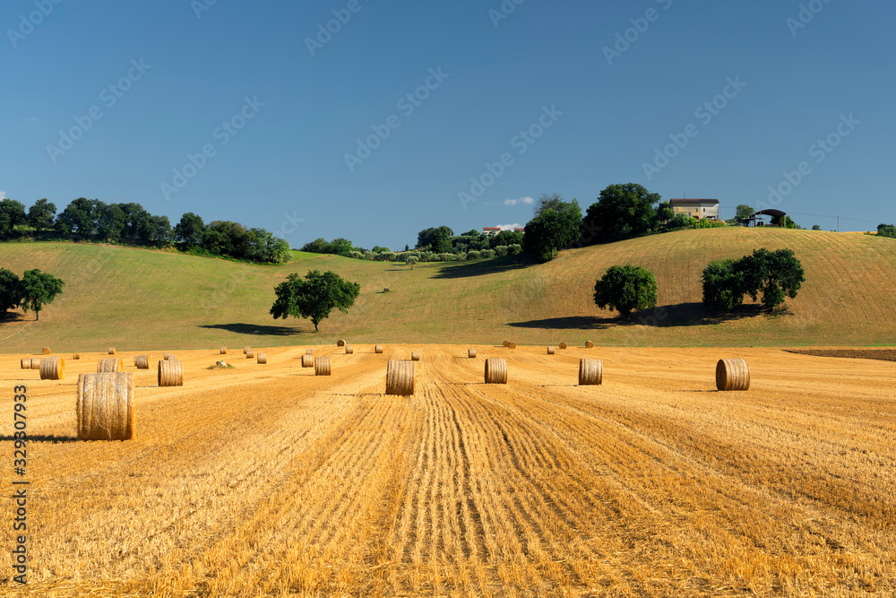 Rural landscape near Petriolo, Marches, Italy
