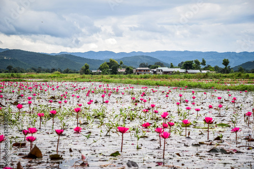 Cuadro en lienzo Inle Lake, Myanmar