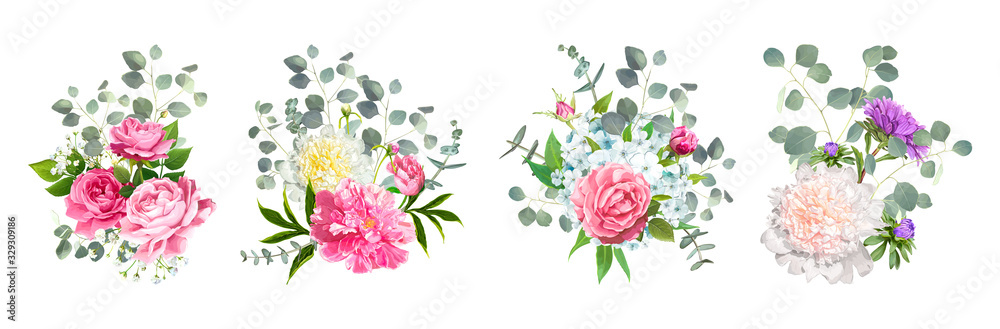 Set of vector bouquets. Blooming flowers of pink Roses, Paeonies, light-blue Phloxes, violet Aster and tender Gypsophila among of Eucalyptus leaves isolated on a white background. Wedding Design Set of vector bouquets. Blooming flowers of pink Roses, Paeonies, light-blue Phloxes, violet Aster and tender Gypsophila among of Eucalyptus leaves isolated on a white background. Wedding Design