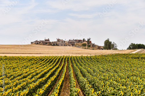 spanish landscape view of european countryside rural area in castilla y leon burgos spain. photo