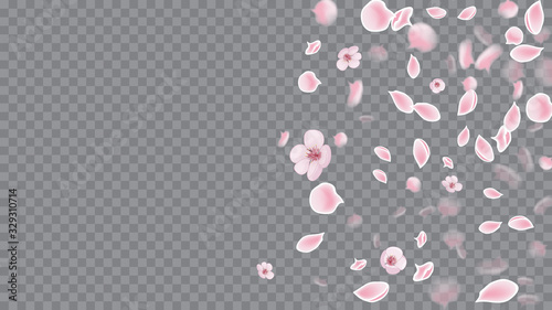 Spring Flowers. Flying Petals In Watercolor Style. Pink on Transparent. Realistic Flying Petals For Banner Design.