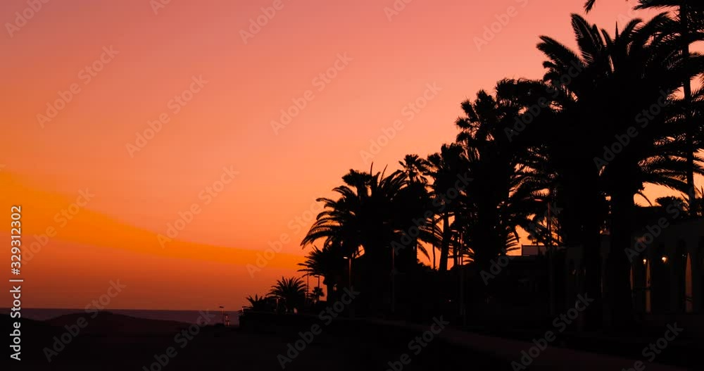 Palm trees on the beach captured during the sunset Dark background of flashing street lights and storm leaves moving in the wind Grand Canary island valley 4k slow motion capture at 60fps. Palm trees on the beach captured during the sunset Dark background of flashing street lights and storm leaves moving in the wind Grand Canary island valley 4k slow motion capture at 60fps.