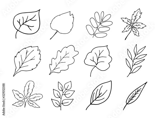 Set of Simple hand drawn doodles. leaves silhouette vector set for coloring book.