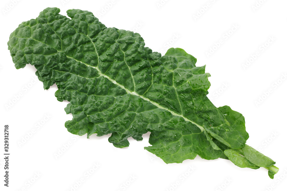 leaves of kale cabbage isolated on white background leaves of kale cabbage isolated on white background