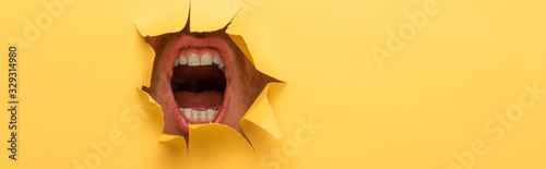 cropped view of open mouth in yellow paper hole photo