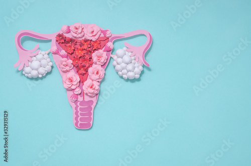 Concept polycystic ovary syndrome, PCOS. Copy space, women reproductive system photo