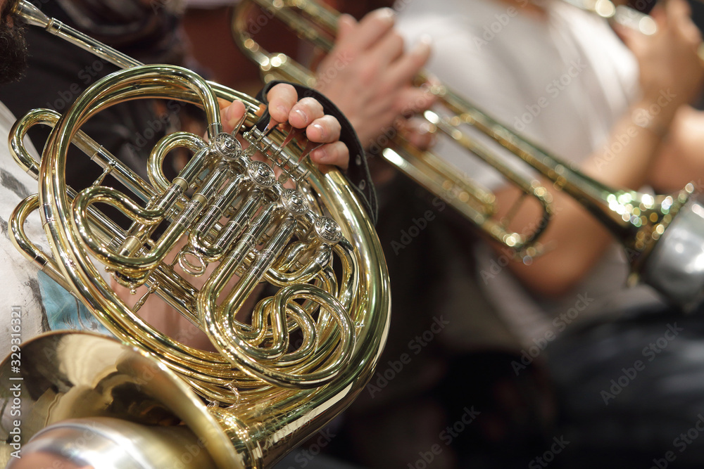 Fototapeta premium cor