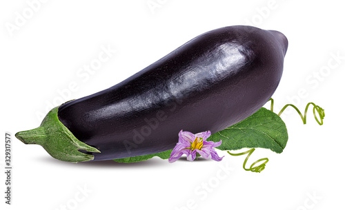 eggplants isolated on white background