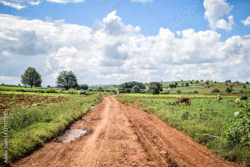 Hiking from Inle Lake to Kalaw