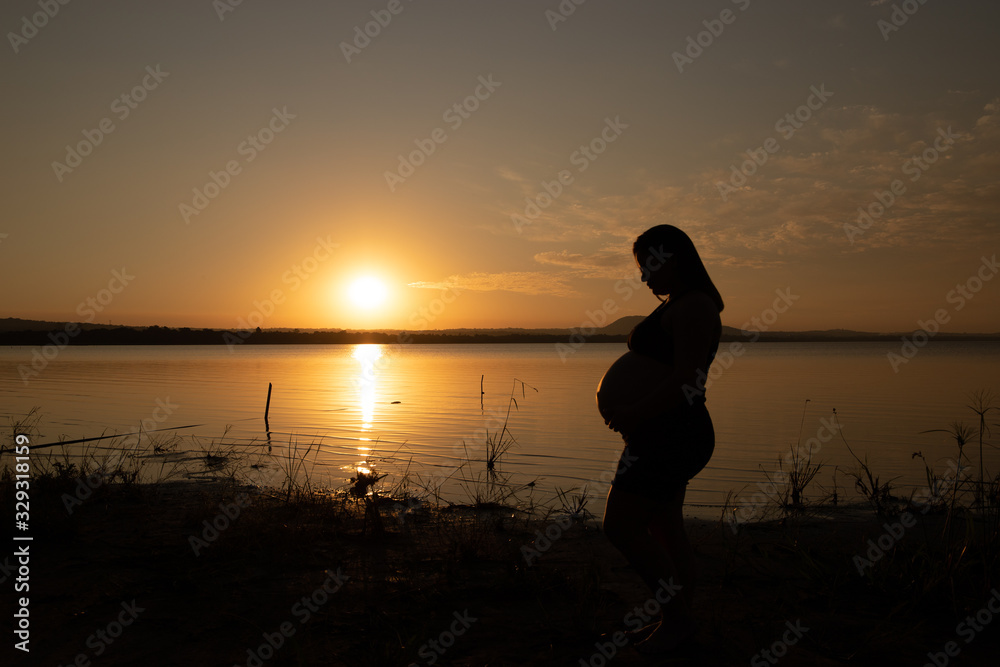 Fototapeta premium Silueta de mujer embarazada