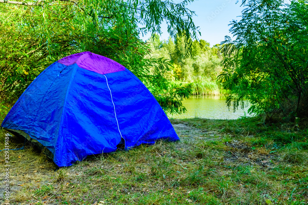 Blue tent in a forest on summer