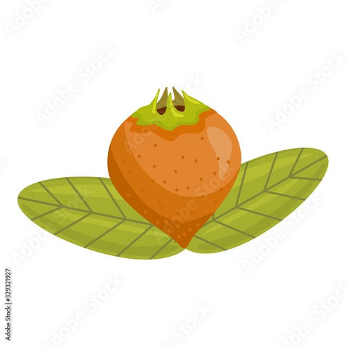 Ripe old sweet medlar and foliage on a white background isolated. Germanic common medlar. Loquat exotic fruit. Nispero. Eriobotrya Japonica. Vector vintage flat modern illustration.