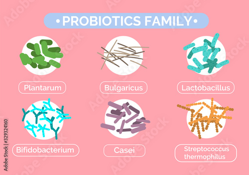 Probiotics family poster with collection of good live bacterias for digestive system. Bulgaricul and bifidobacterium, streptococcus thermophilus, and lactobacillus, casei set. Vector in flat style