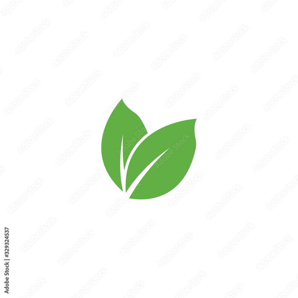 Leaf Logo Template vector symbol Leaf Logo Template vector symbol