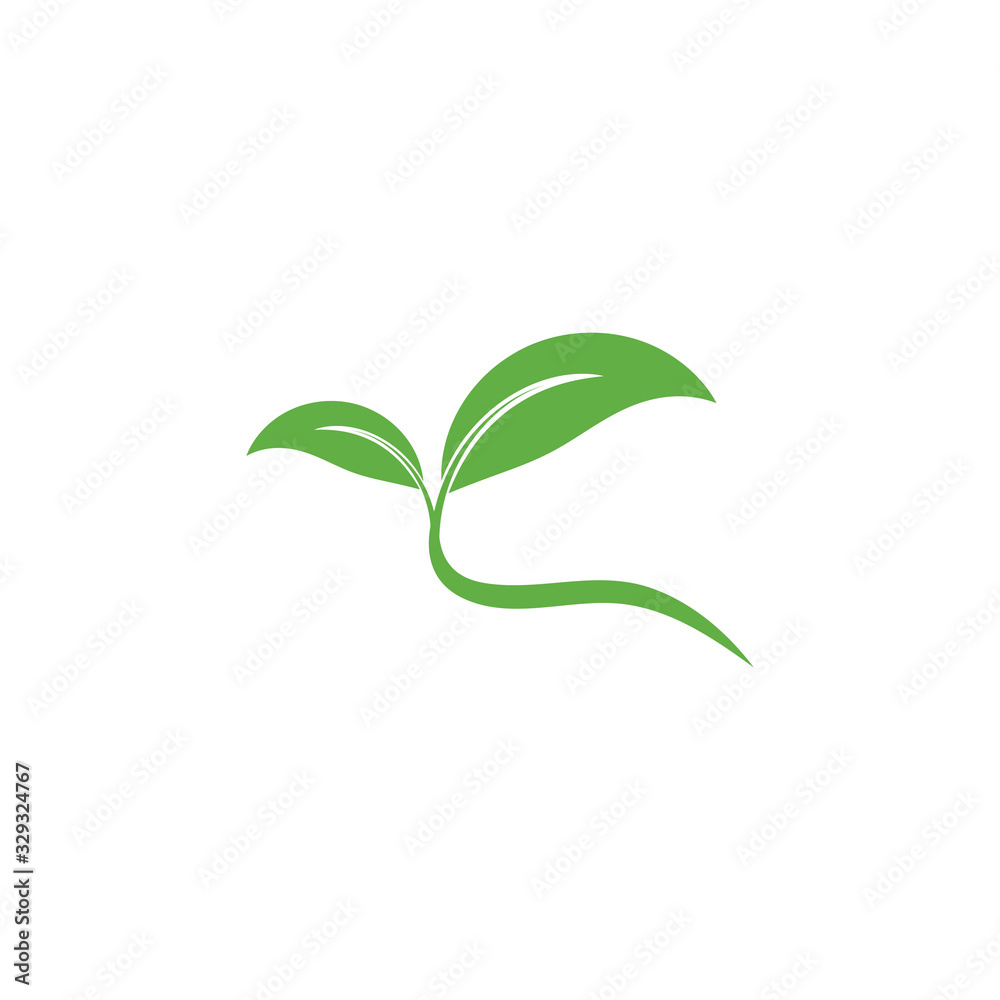 Fototapeta premium Leaf Logo Template vector symbol