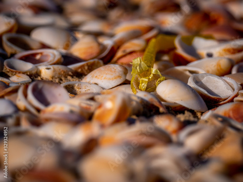 Fototapeta Naklejka Na Ścianę i Meble -  Photos of plastic lying on shells on the beach