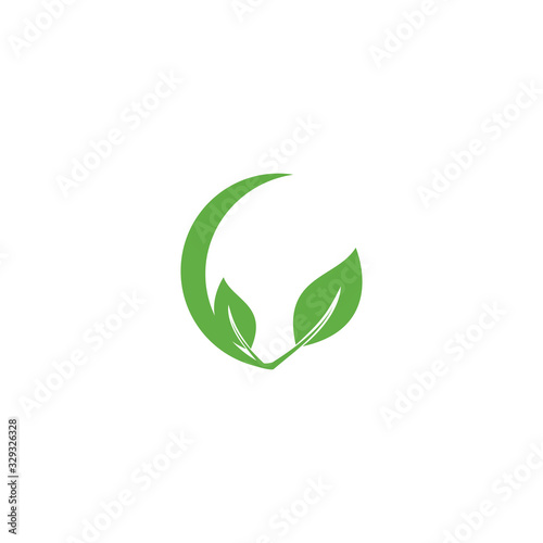 Leaf Logo Template vector symbol