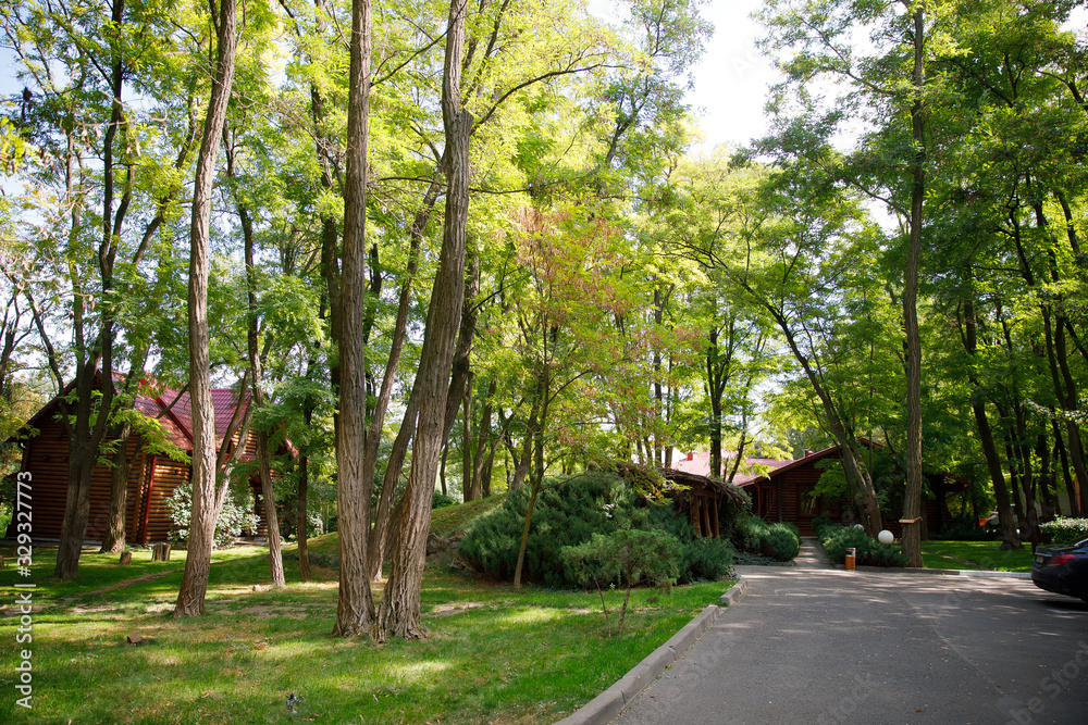 a path between houses and trees outside the city