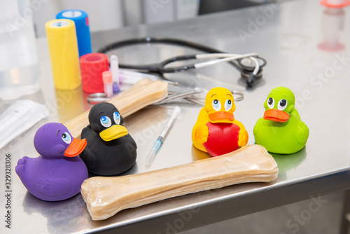 Colored rubber duckies next to veterinary clinic instruments